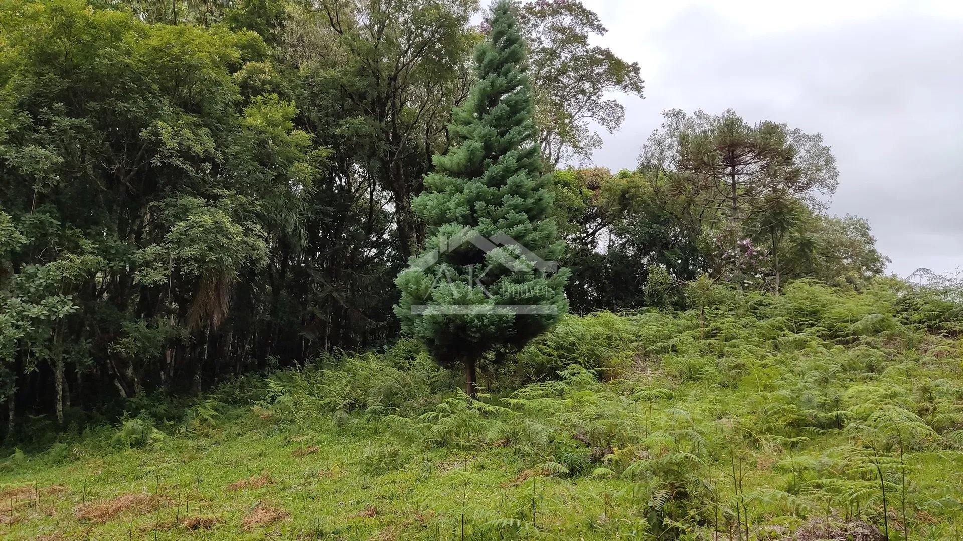 Área de terra com açude e linda vista à venda em Morro Reuter