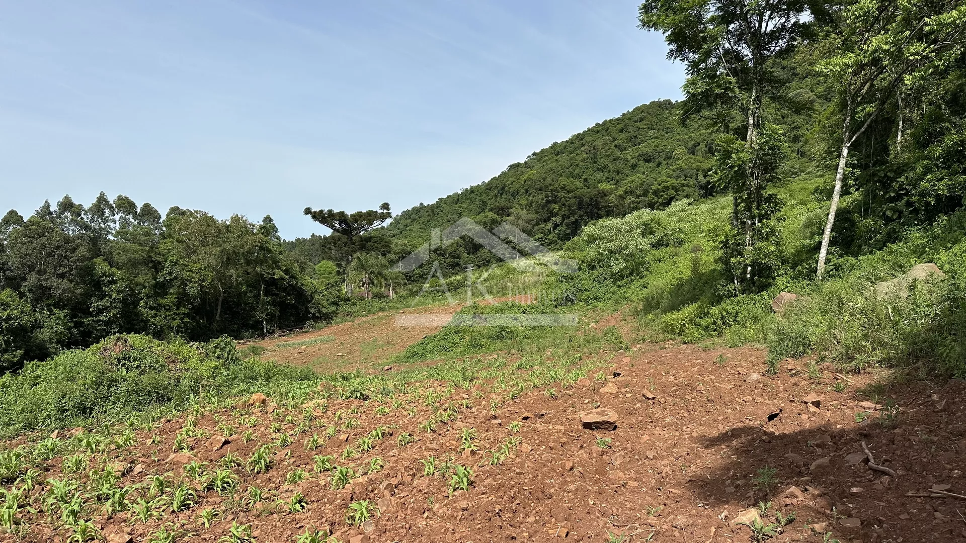 Área de terra com vista panorâmica à venda em Linha Nova RS
