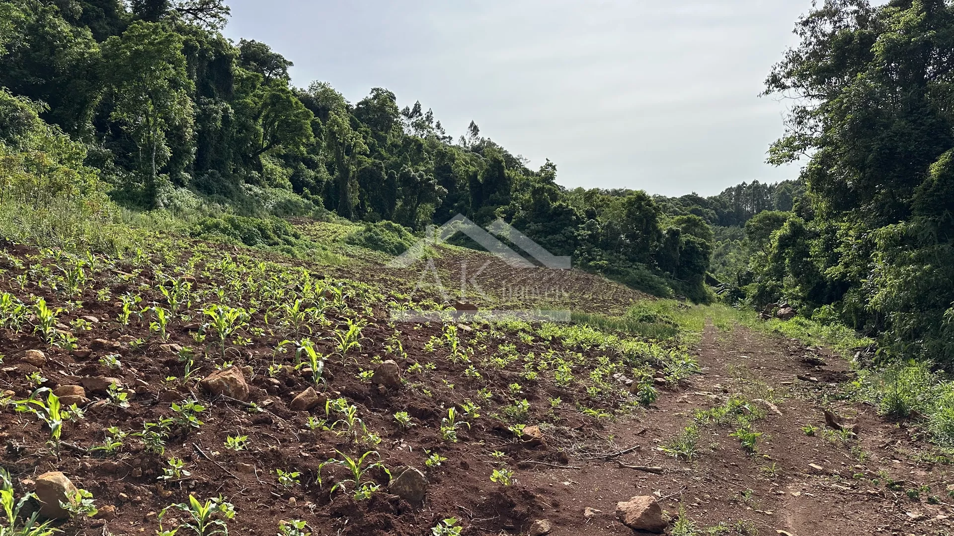 Área de terra com vista panorâmica à venda em Linha Nova RS
