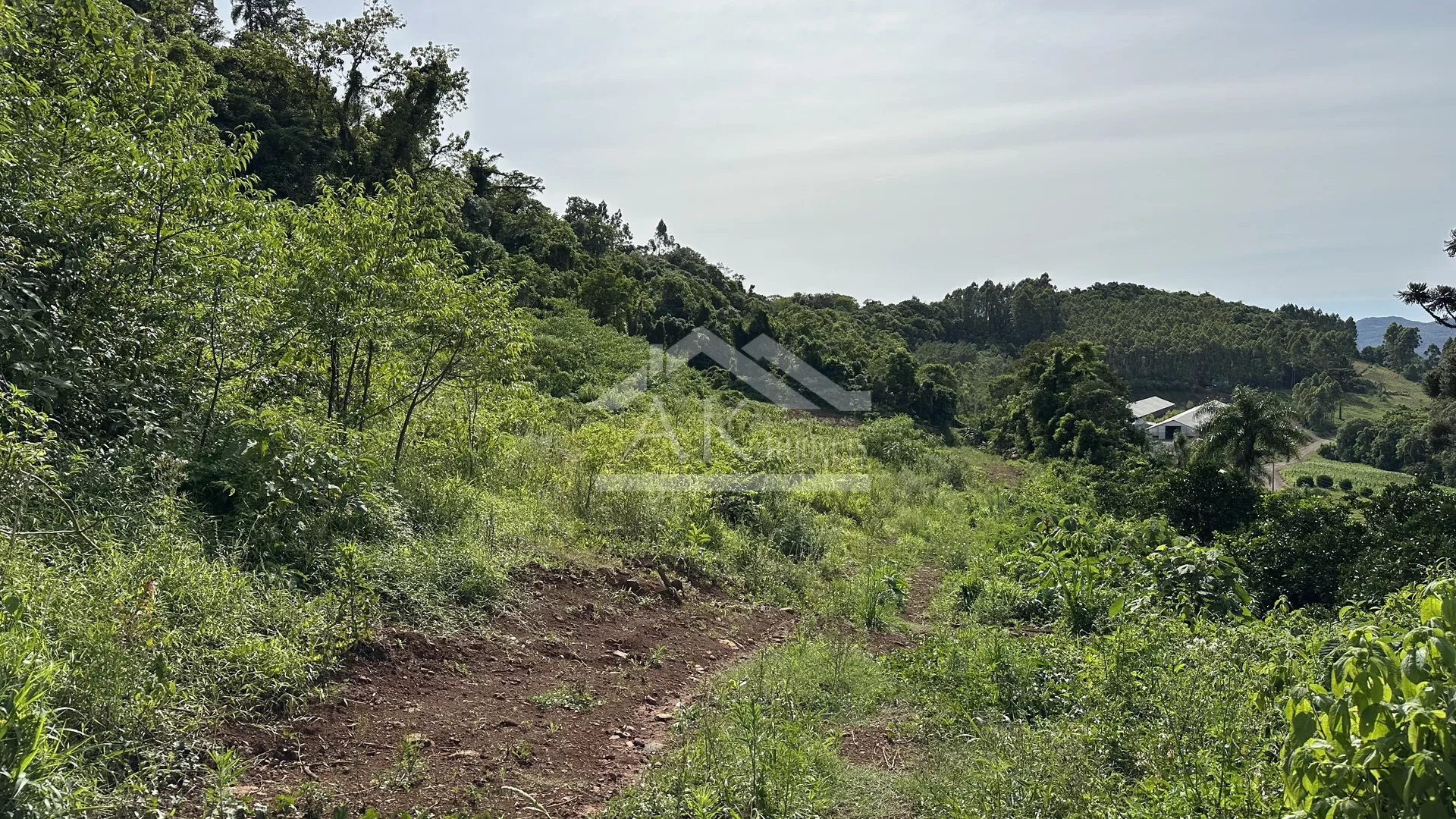 Área de terra com vista panorâmica à venda em Linha Nova RS