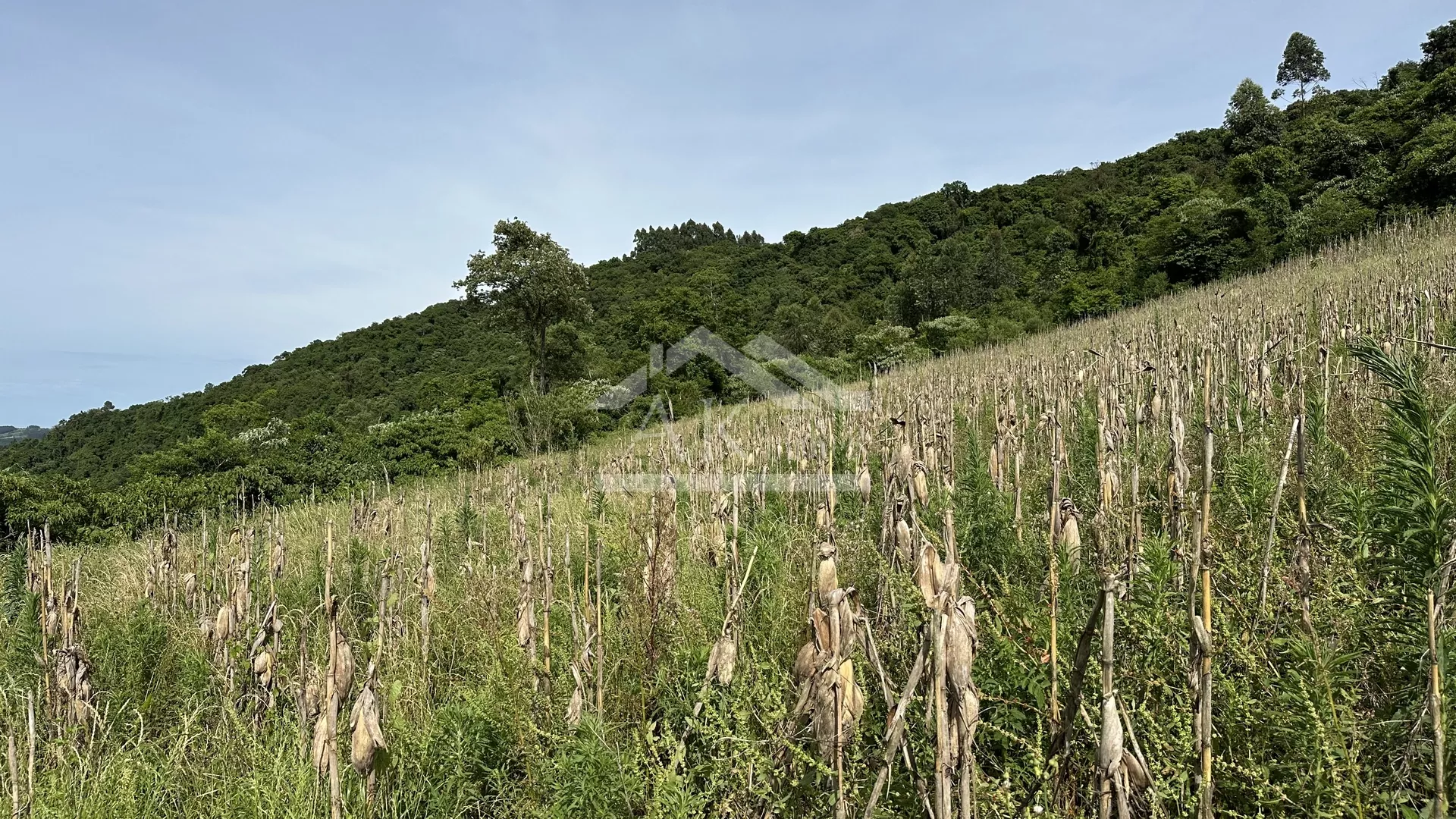 Área de terra com vista panorâmica à venda em Linha Nova RS