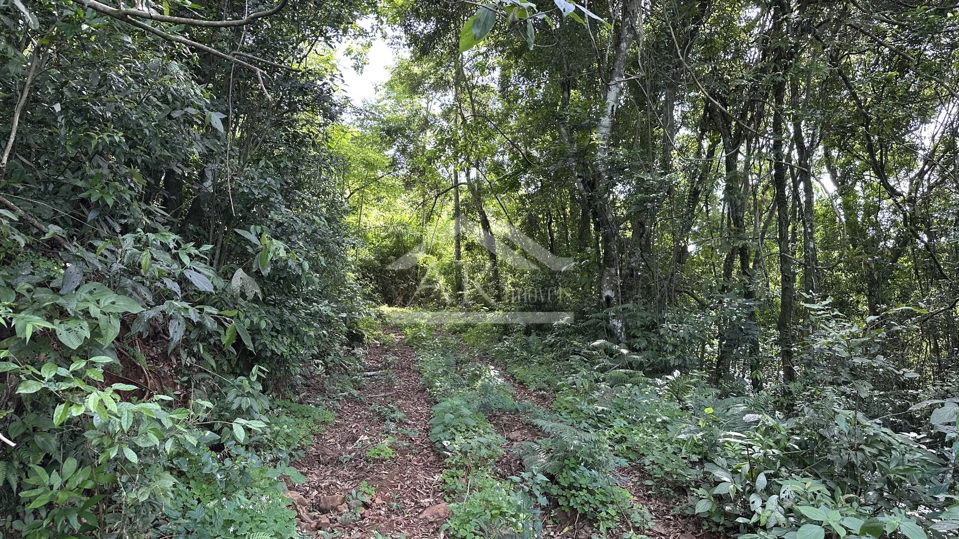 Área de terra com vista panorâmica à venda em Linha Nova RS