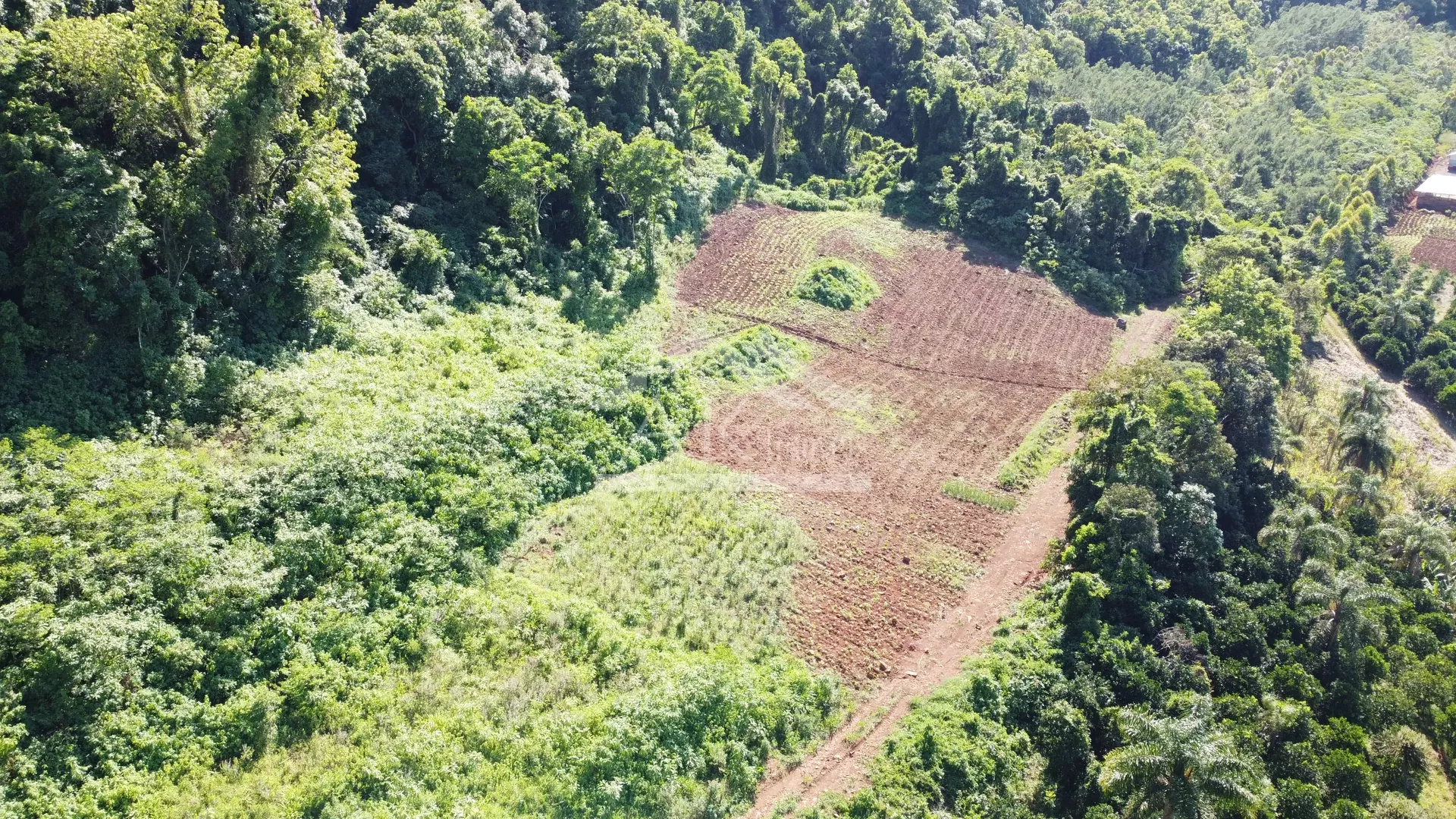 Área de terra com vista panorâmica à venda em Linha Nova RS