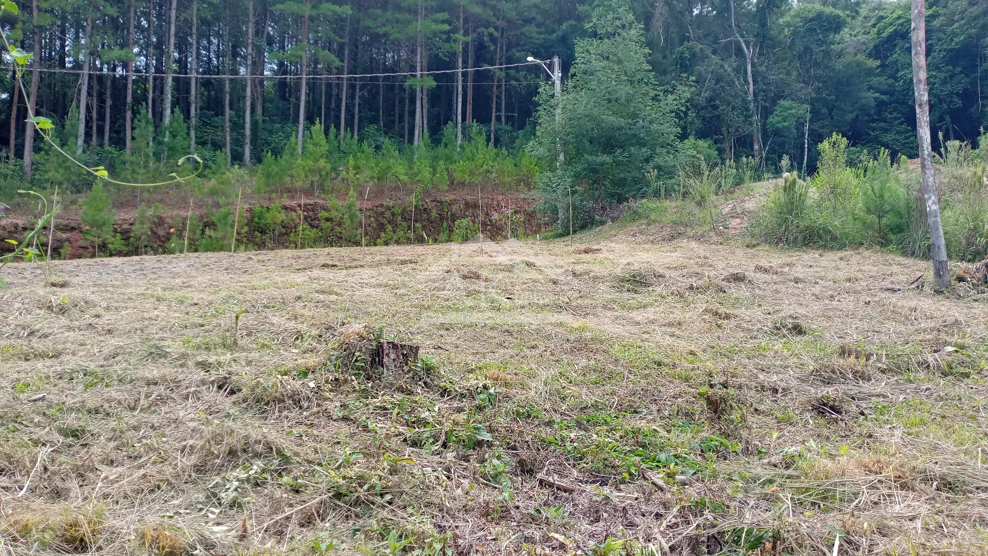 Terreno à venda no Centro de Picada Café, na Serra Gaúcha