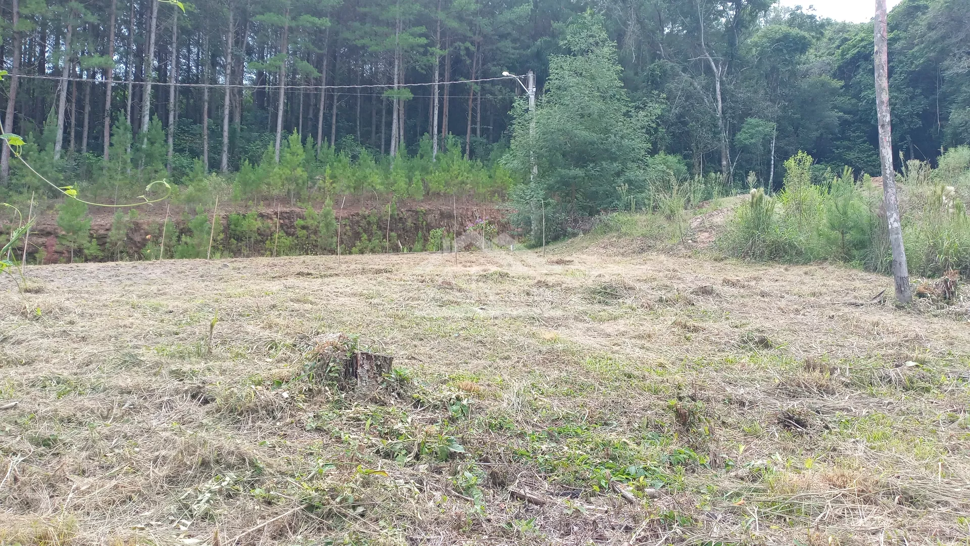 Terreno à venda no Centro de Picada Café, na Serra Gaúcha