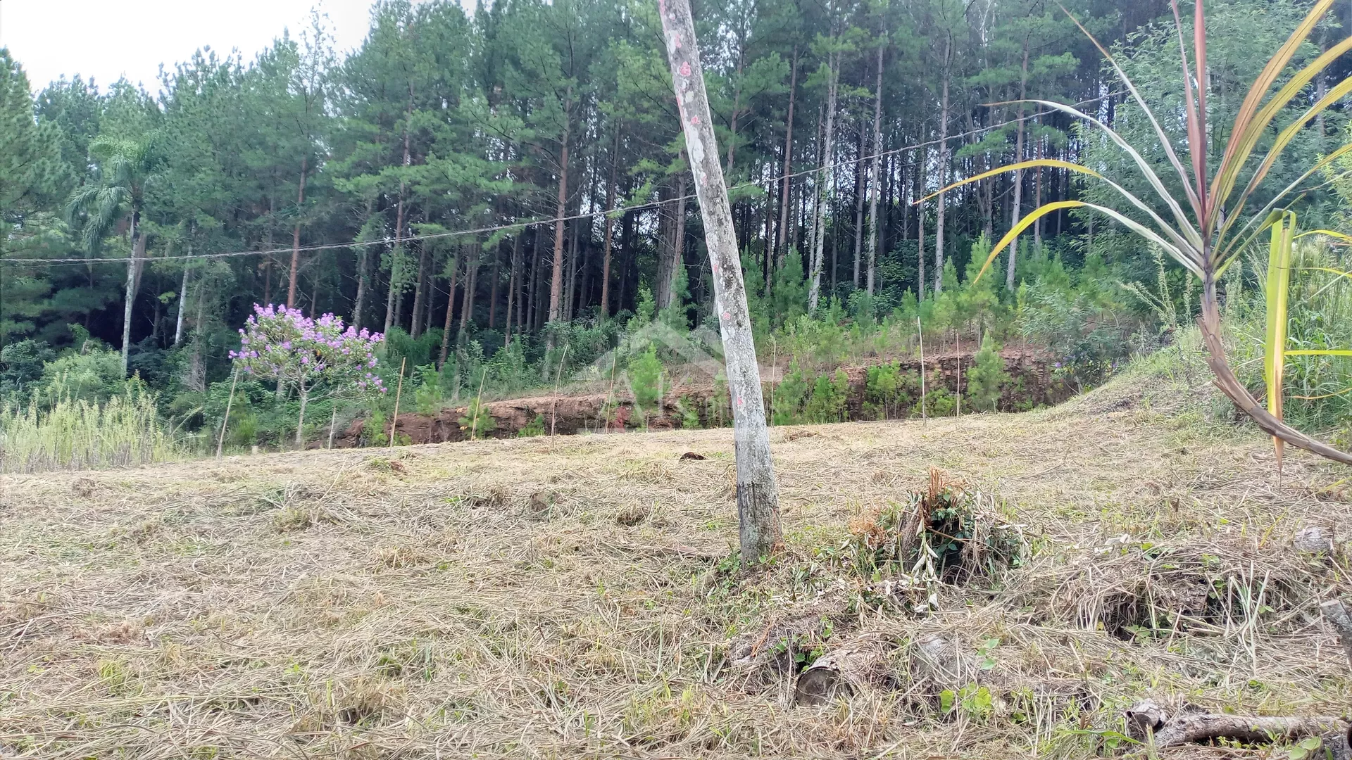 Terreno à venda no Centro de Picada Café, na Serra Gaúcha