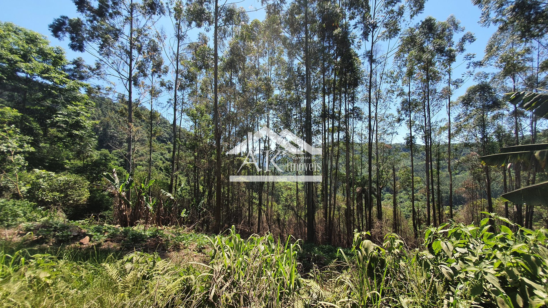 Sítio com casa de 5 quartos a venda em Picada Café na Serra Gaúcha