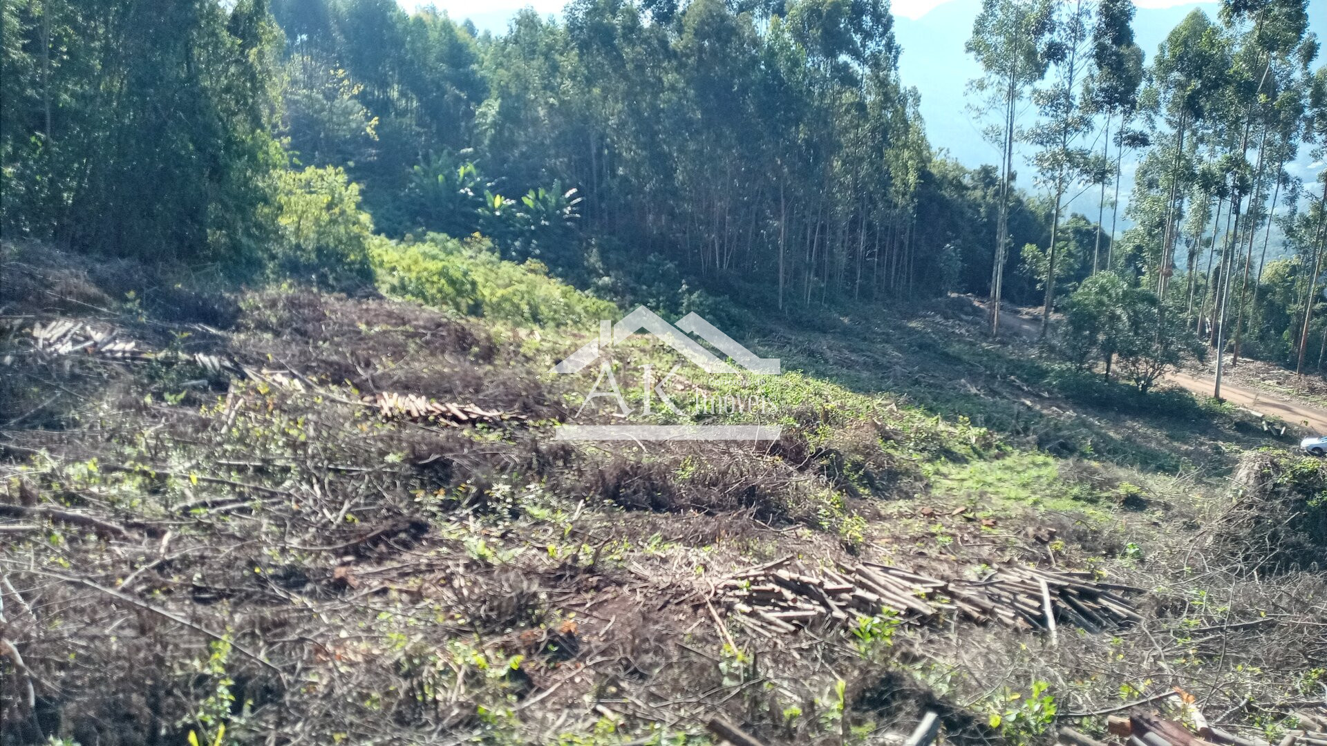 Sítio com casa de 5 quartos a venda em Picada Café na Serra Gaúcha