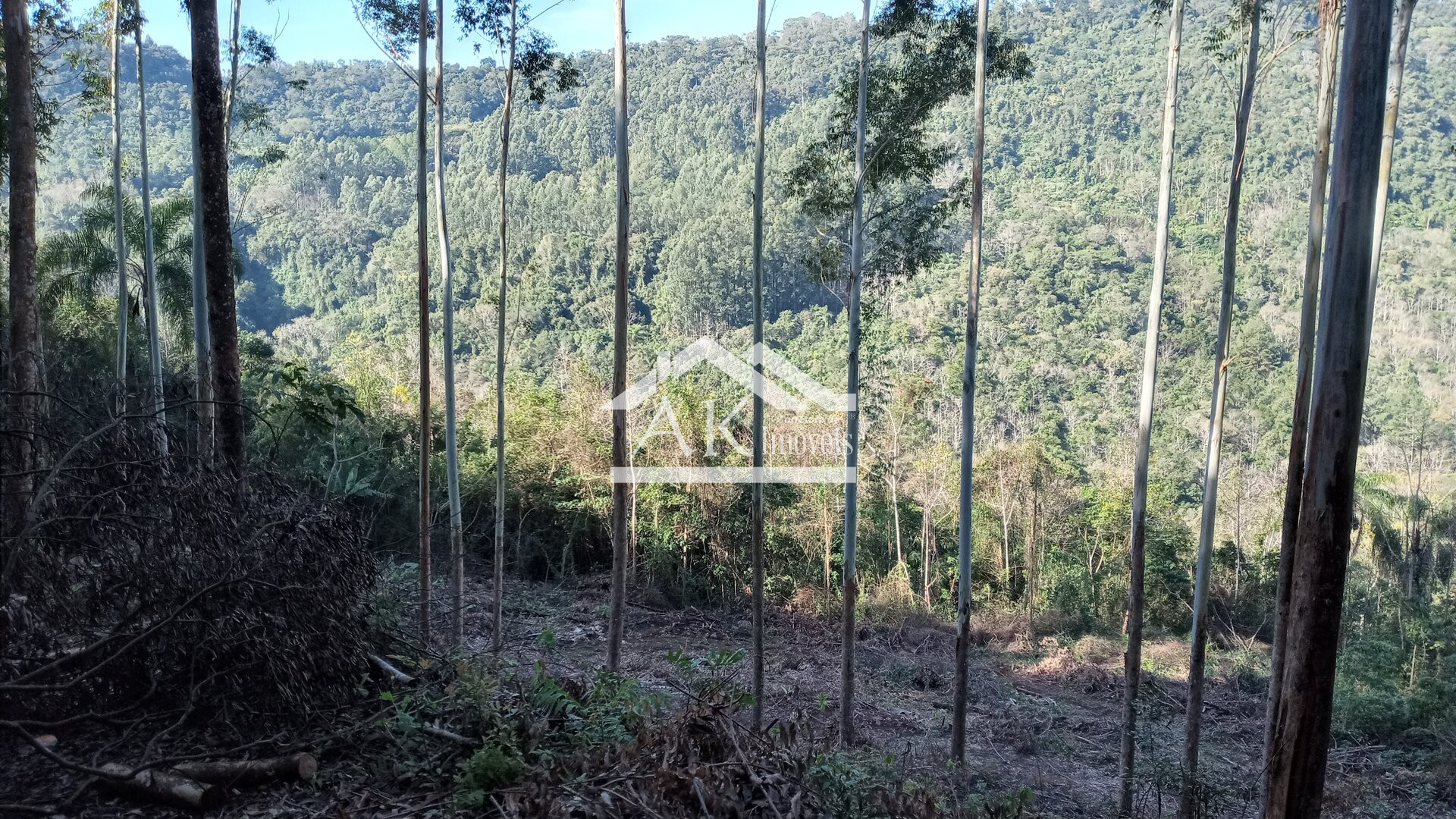 Sítio com casa de 5 quartos a venda em Picada Café na Serra Gaúcha