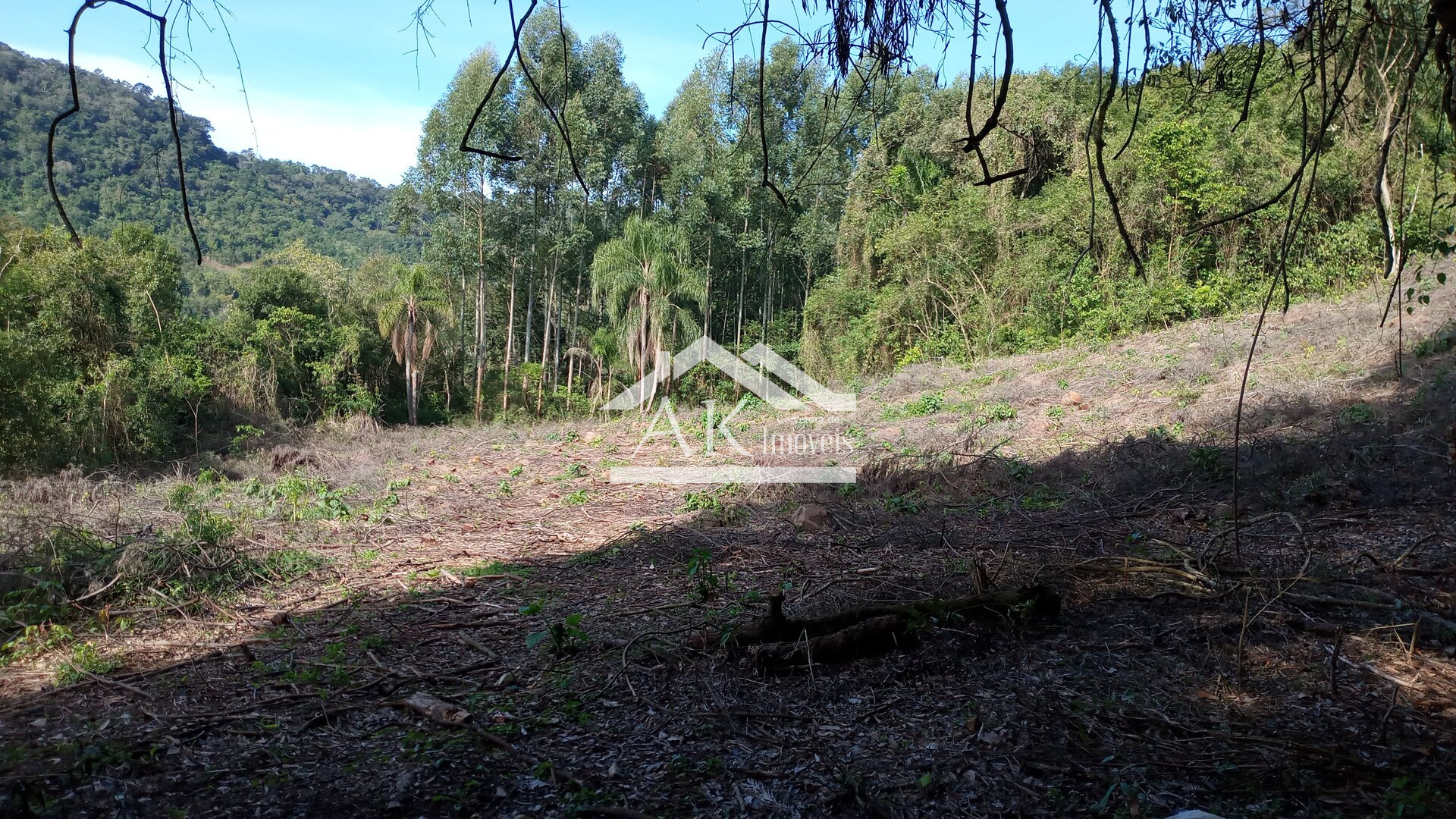 Sítio com casa de 5 quartos a venda em Picada Café na Serra Gaúcha