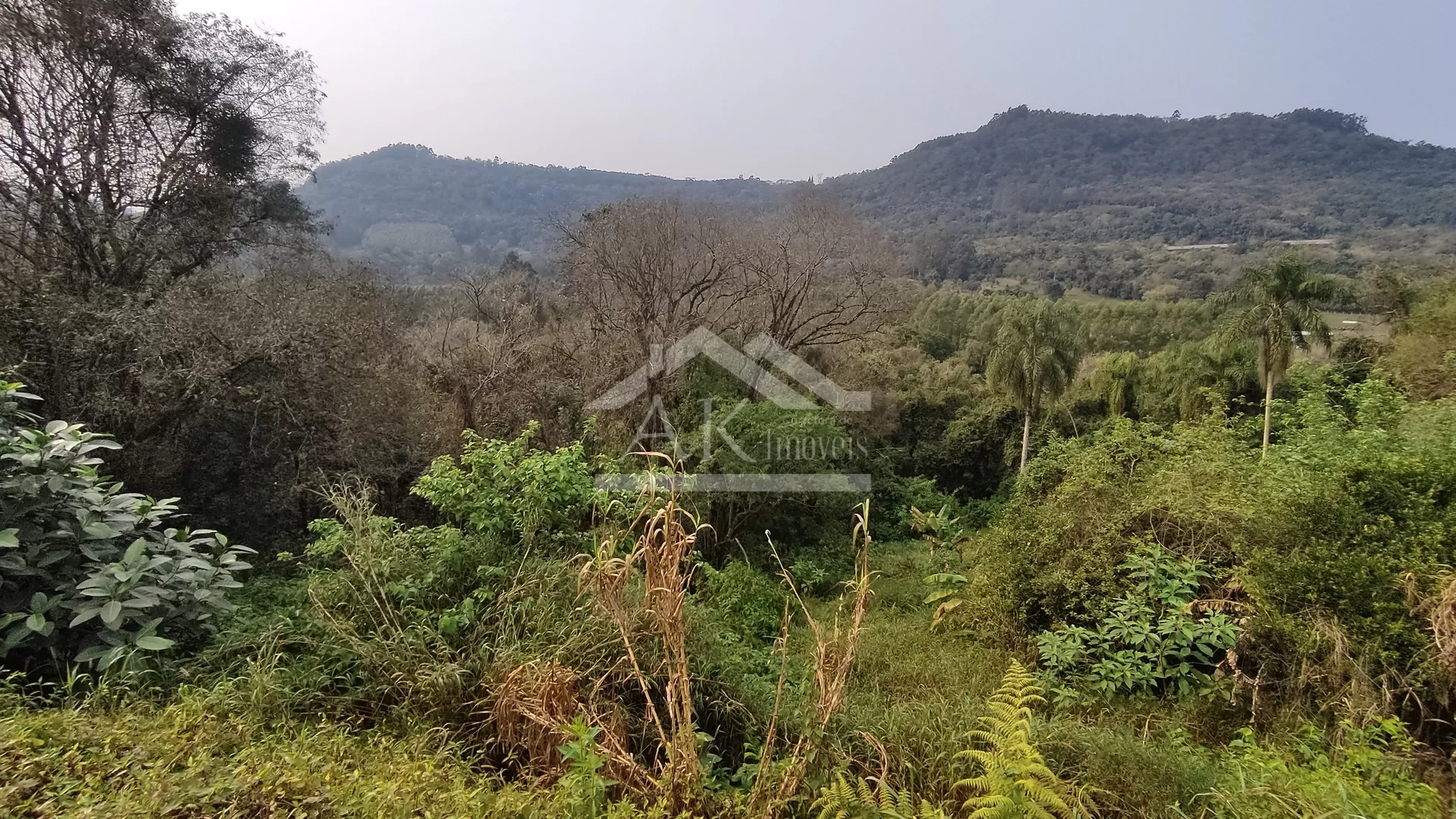 Terrenos em declive à venda na cidade de Picada Café na Serra Gaúcha