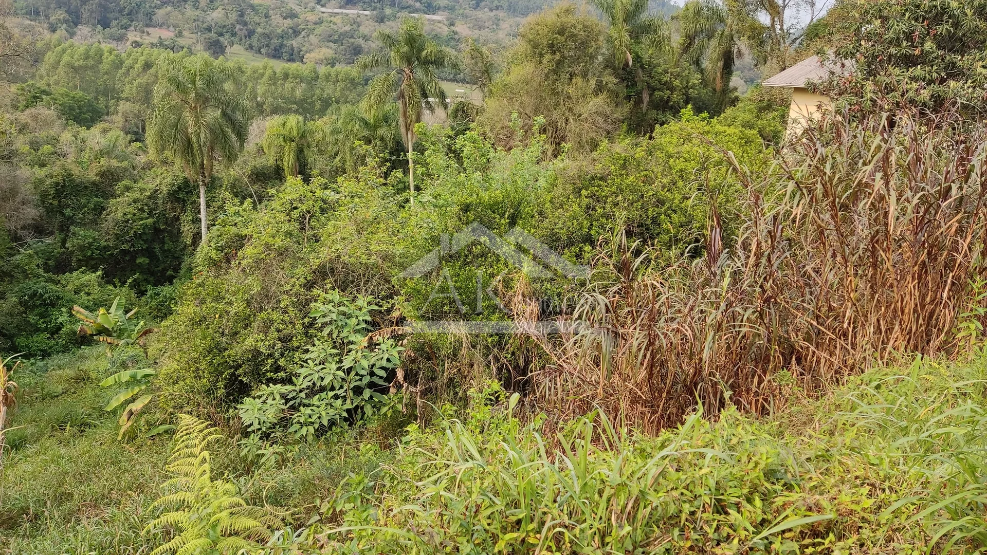 Terrenos em declive à venda na cidade de Picada Café na Serra Gaúcha