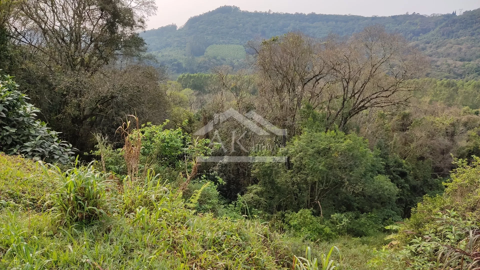 Terrenos em declive à venda na cidade de Picada Café na Serra Gaúcha
