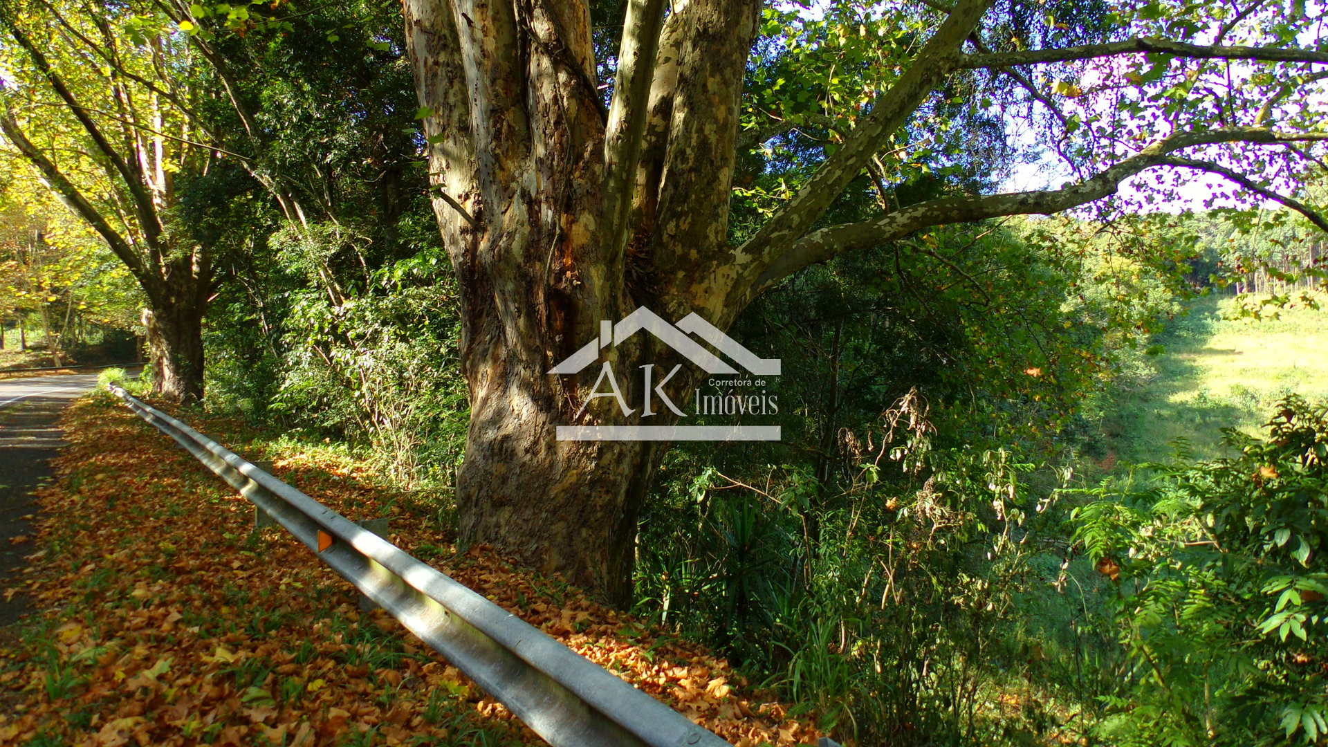 Área de terras à venda às margens da BR 116 em Picada Café na serra gaúcha