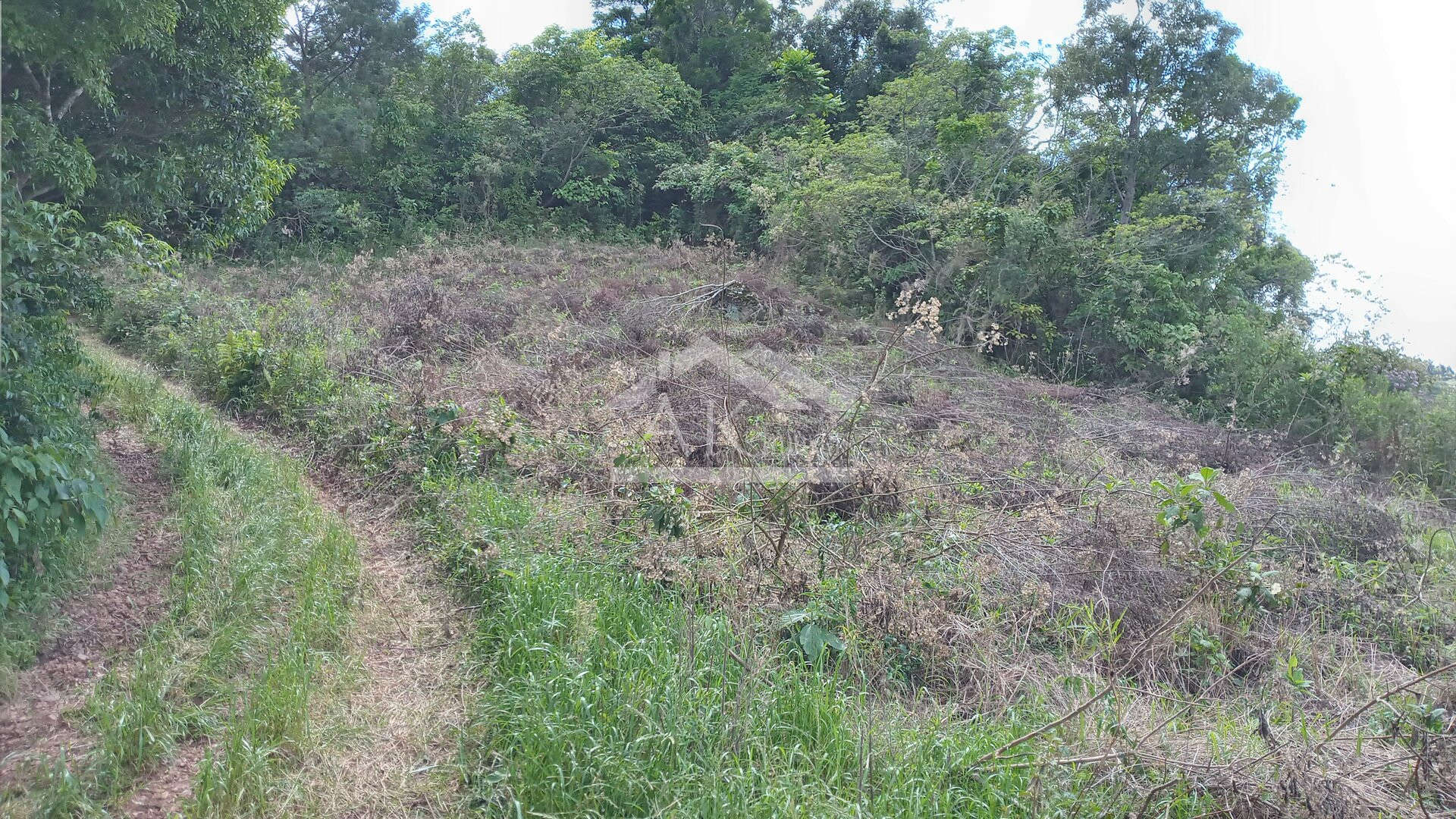 Amplo terreno, com vista panorâmica, a venda em Morro Reuter na Serra Gaúcha