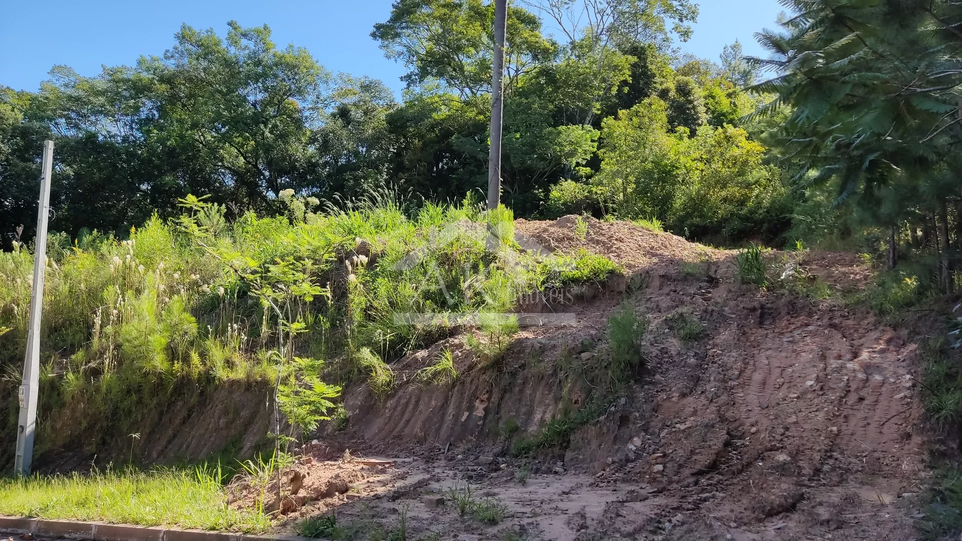 Terreno com fundos para Área Verde à venda em Picada Café, na Serra Gaúcha
