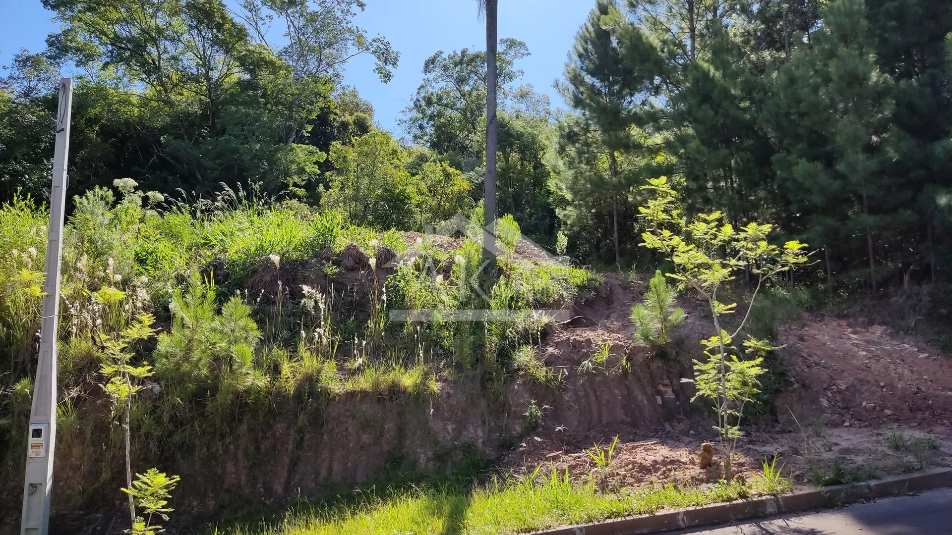 Terreno com fundos para Área Verde à venda em Picada Café, na Serra Gaúcha