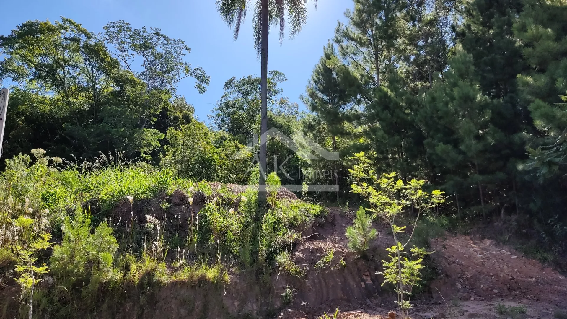 Terreno com fundos para Área Verde à venda em Picada Café, na Serra Gaúcha