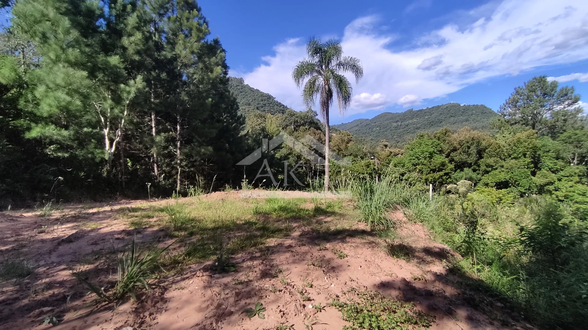 Terreno com fundos para Área Verde à venda em Picada Café, na Serra Gaúcha