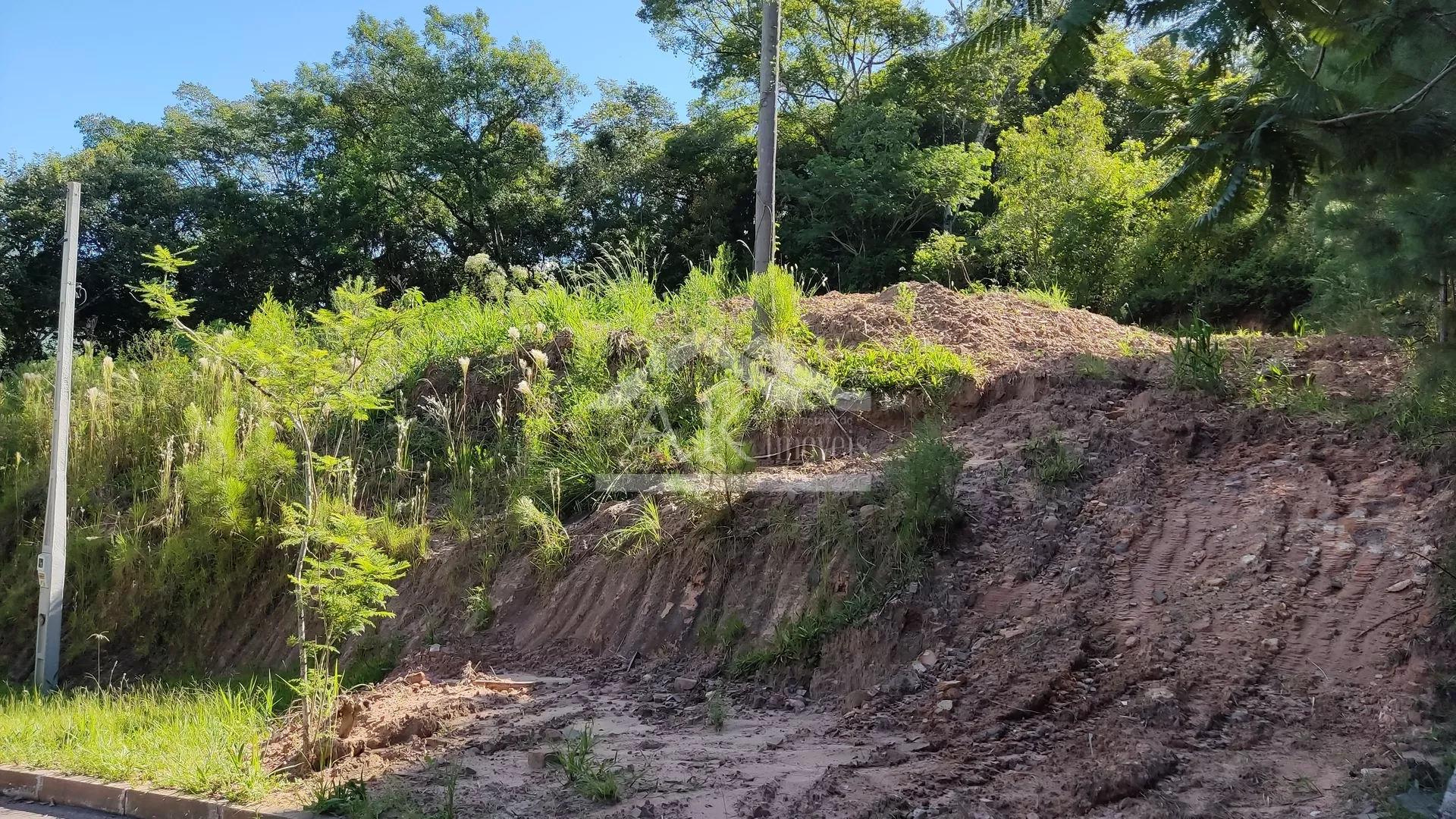 Terreno com fundos para Área Verde à venda em Picada Café, na Serra Gaúcha