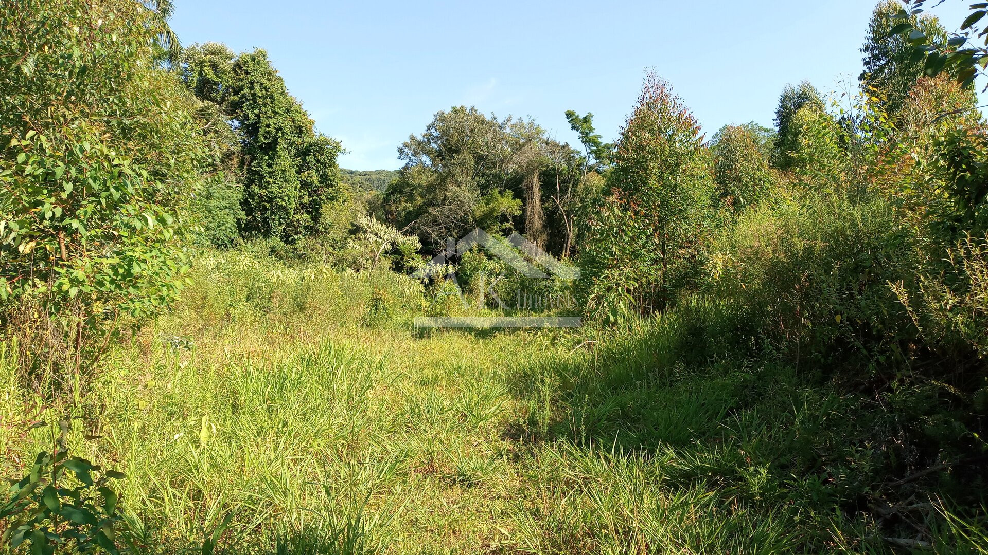 Área de terras em à venda no interior de Nova Petrópolis na Serra Gaúcha