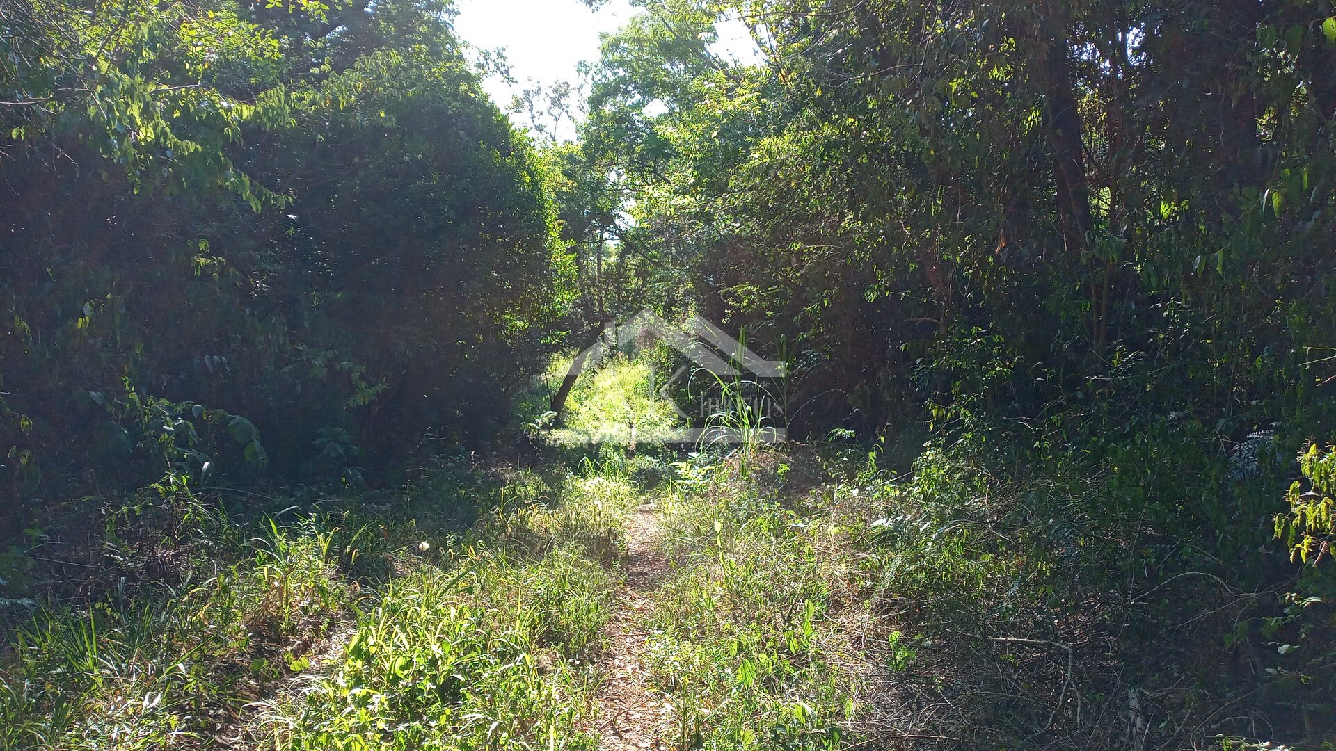 Área de terras em à venda no interior de Nova Petrópolis na Serra Gaúcha