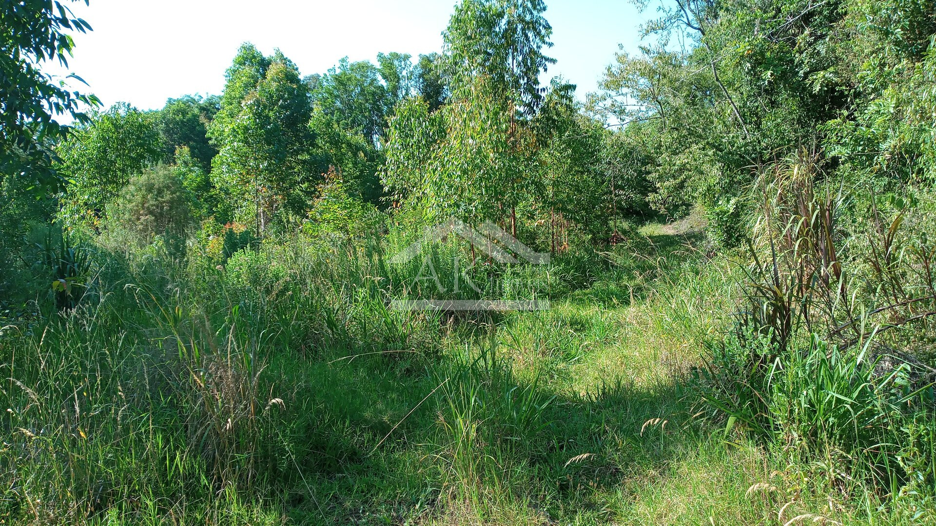 Área de terras em à venda no interior de Nova Petrópolis na Serra Gaúcha