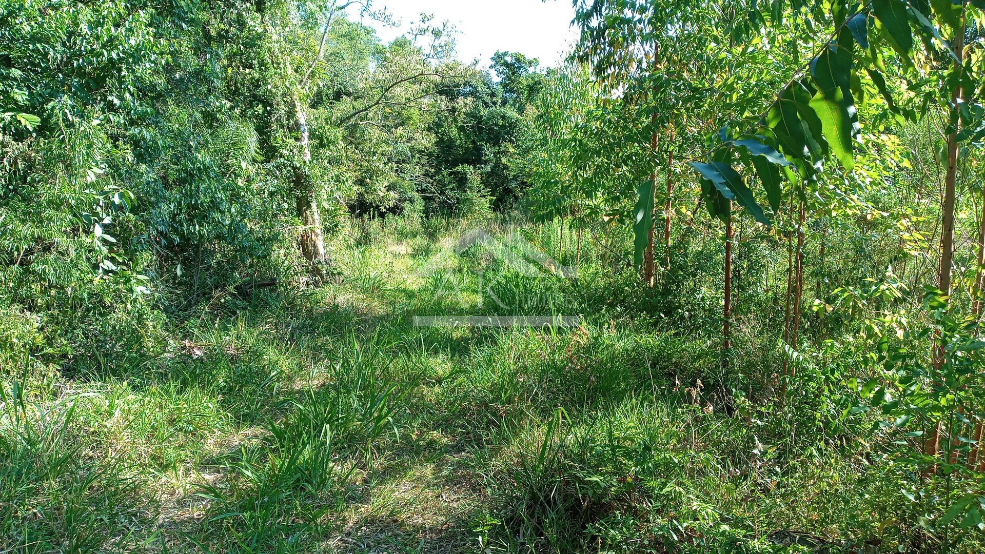 Área de terras em à venda no interior de Nova Petrópolis na Serra Gaúcha