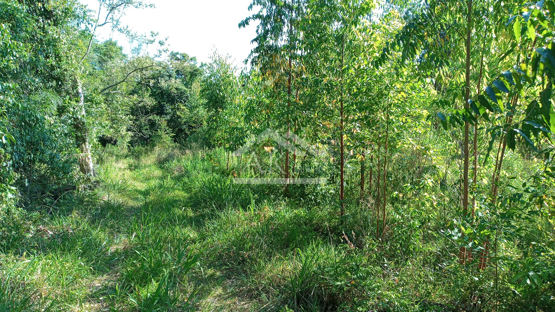 Área de terras em à venda no interior de Nova Petrópolis na Serra Gaúcha