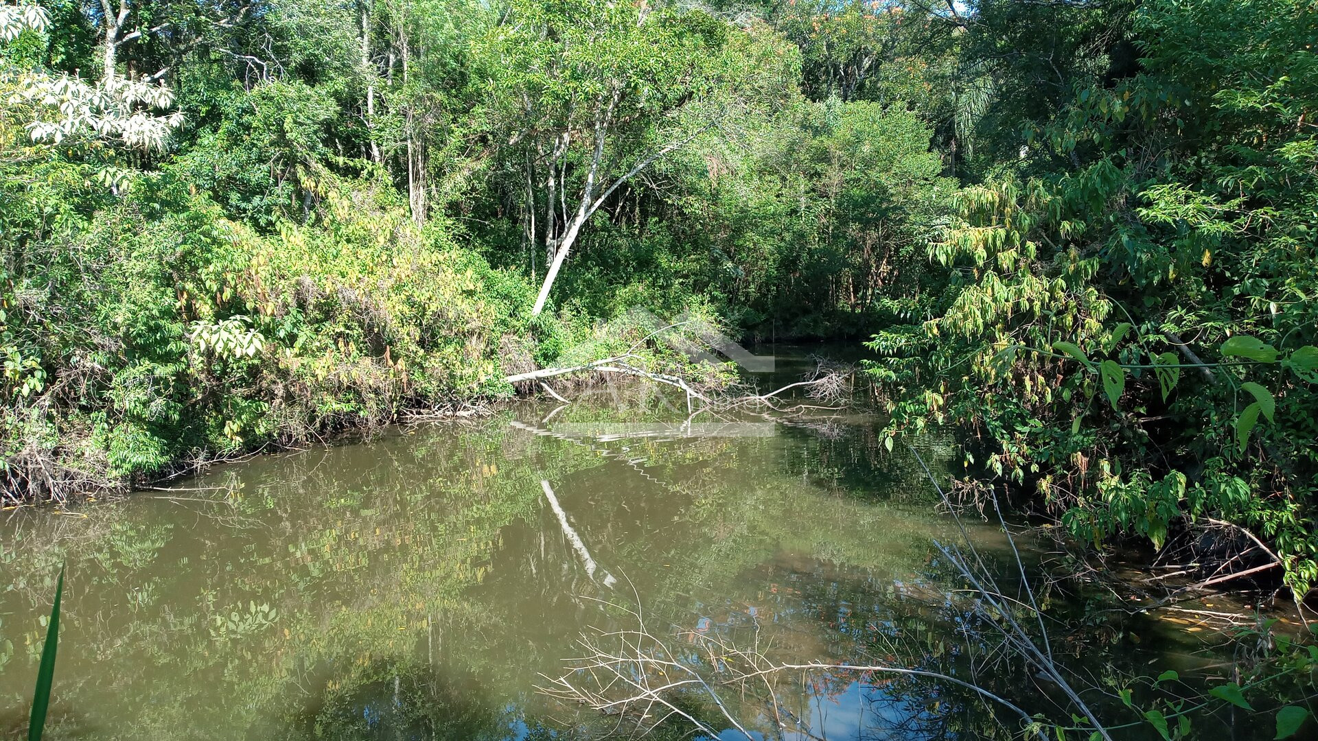 Área de terras em à venda no interior de Nova Petrópolis na Serra Gaúcha