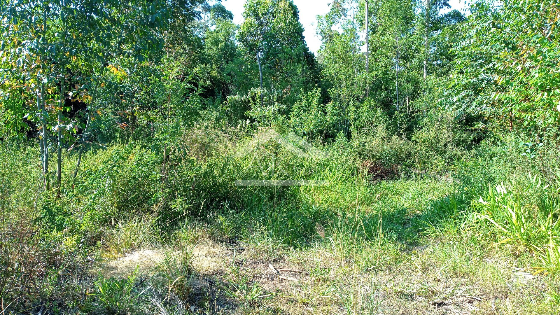 Área de terras em à venda no interior de Nova Petrópolis na Serra Gaúcha