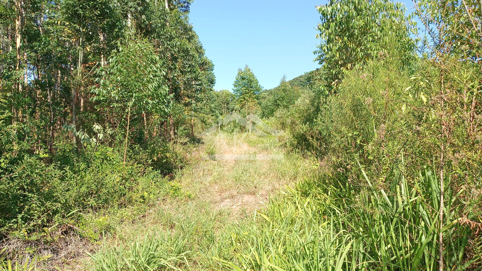 Área de terras em à venda no interior de Nova Petrópolis na Serra Gaúcha