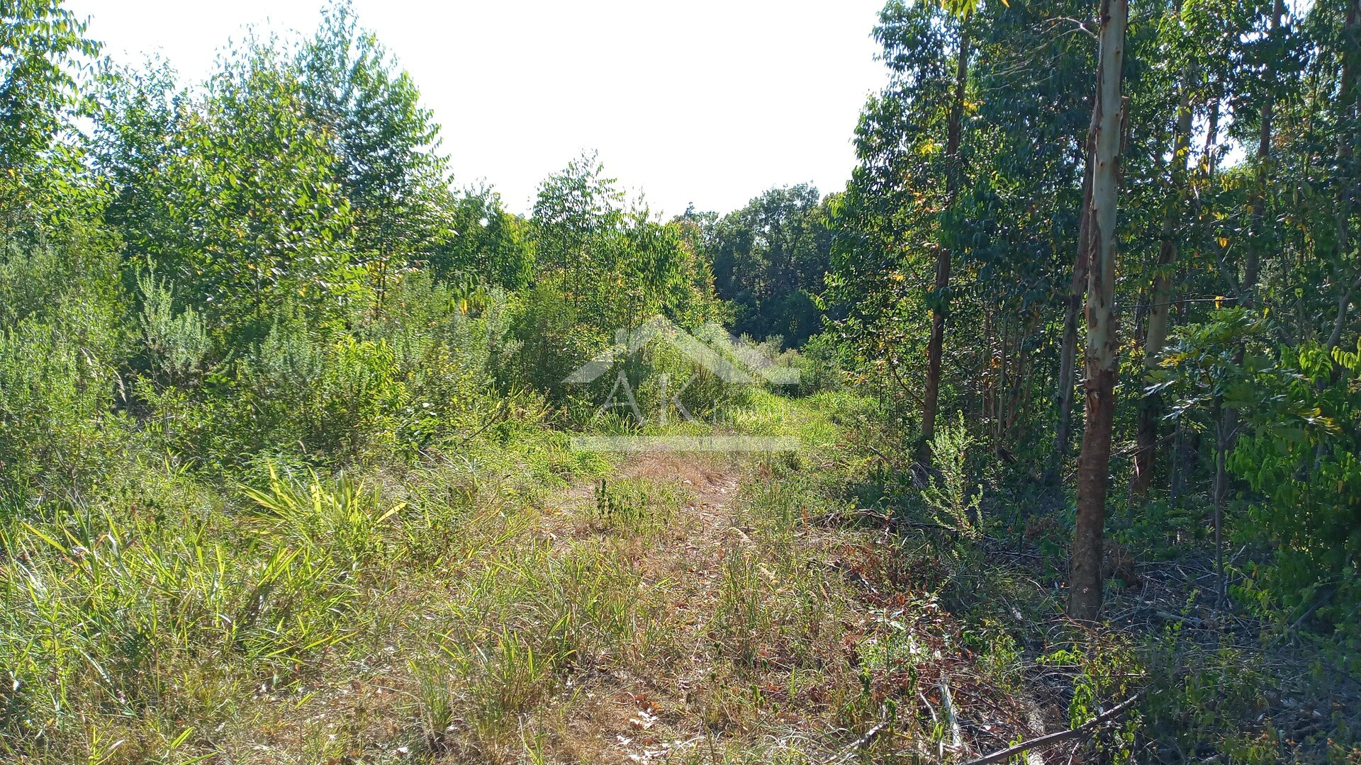Área de terras em à venda no interior de Nova Petrópolis na Serra Gaúcha