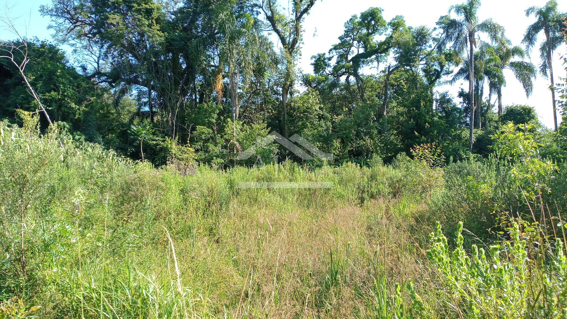 Área de terras em à venda no interior de Nova Petrópolis na Serra Gaúcha