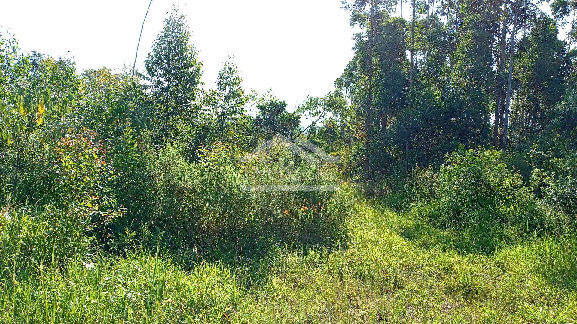 Área de terras em à venda no interior de Nova Petrópolis na Serra Gaúcha