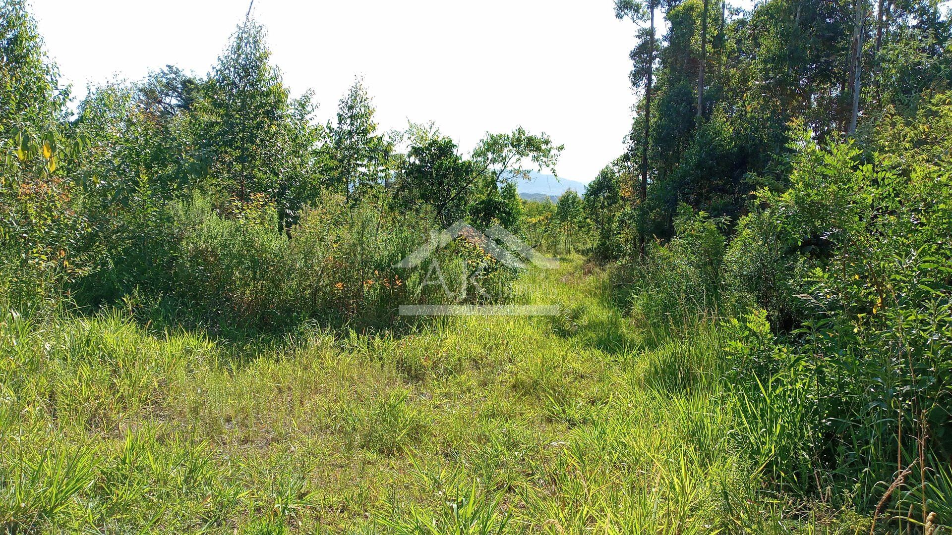 Área de terras em à venda no interior de Nova Petrópolis na Serra Gaúcha