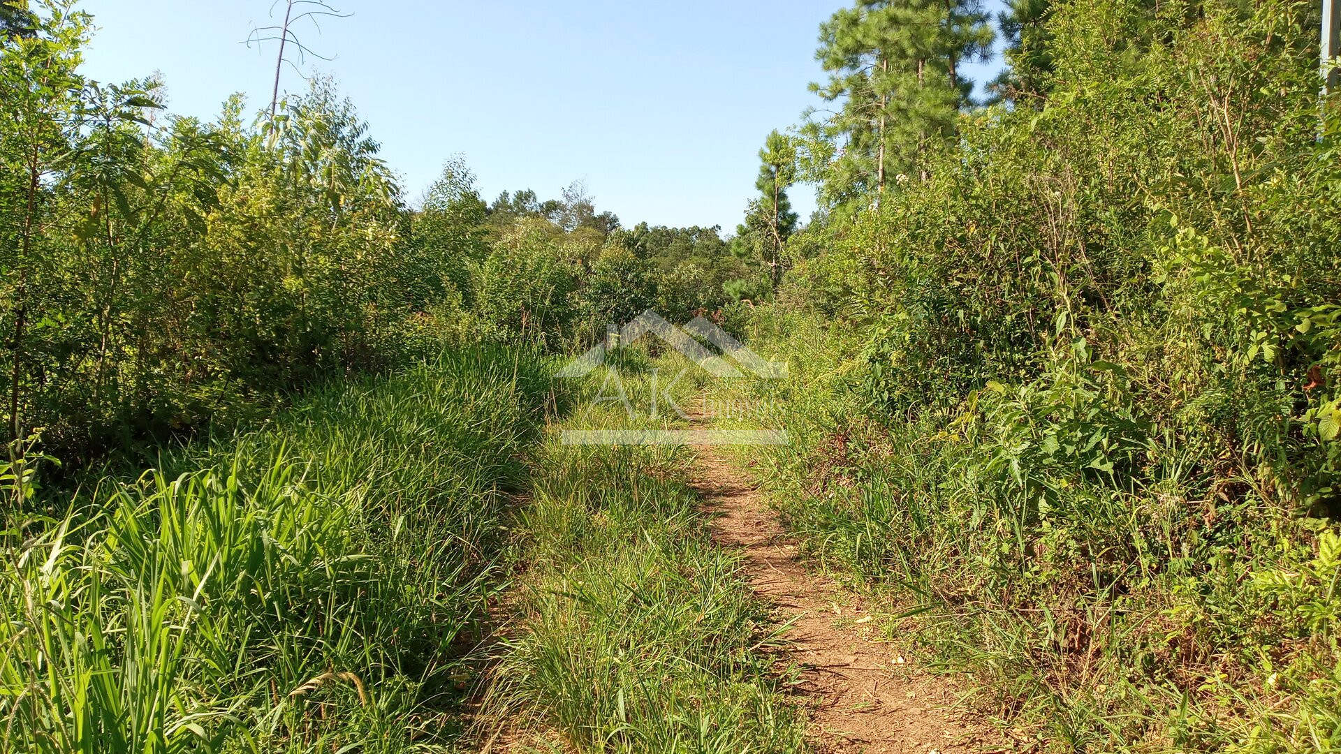 Área de terras em à venda no interior de Nova Petrópolis na Serra Gaúcha