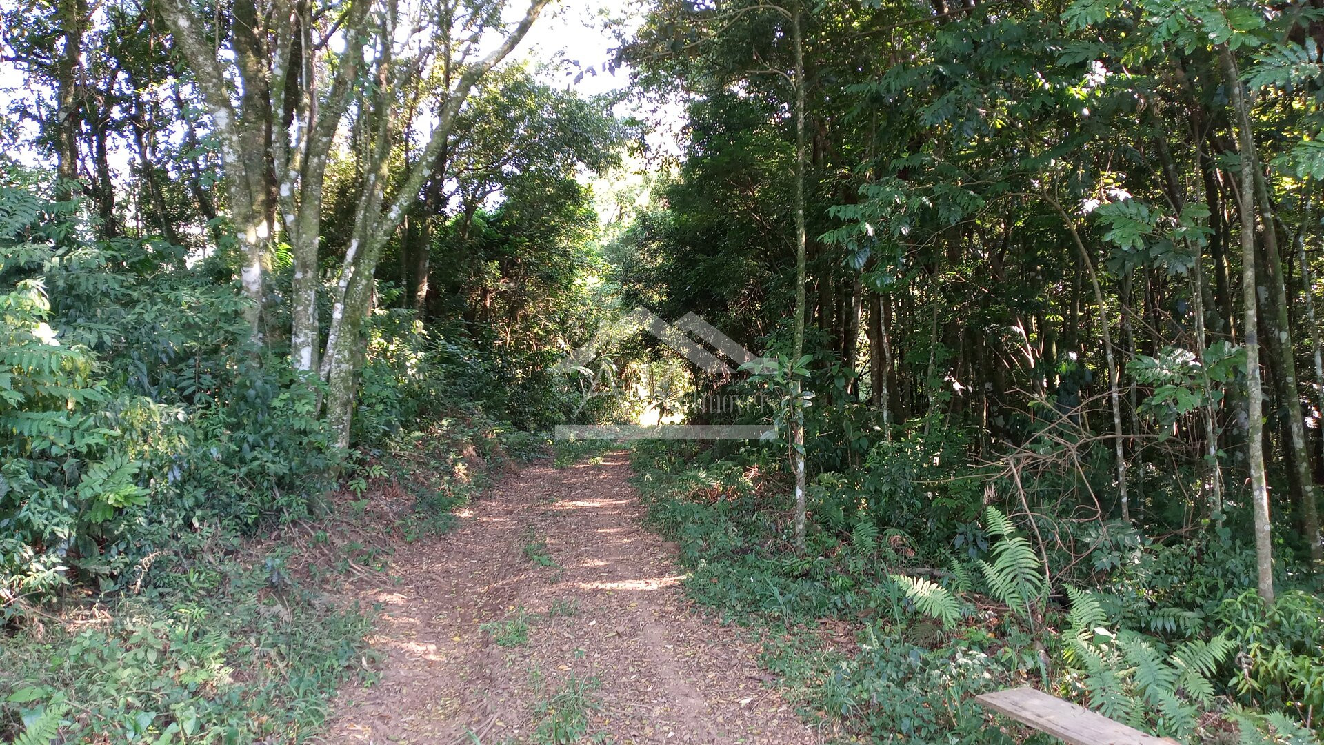 Área de terras em à venda no interior de Nova Petrópolis na Serra Gaúcha