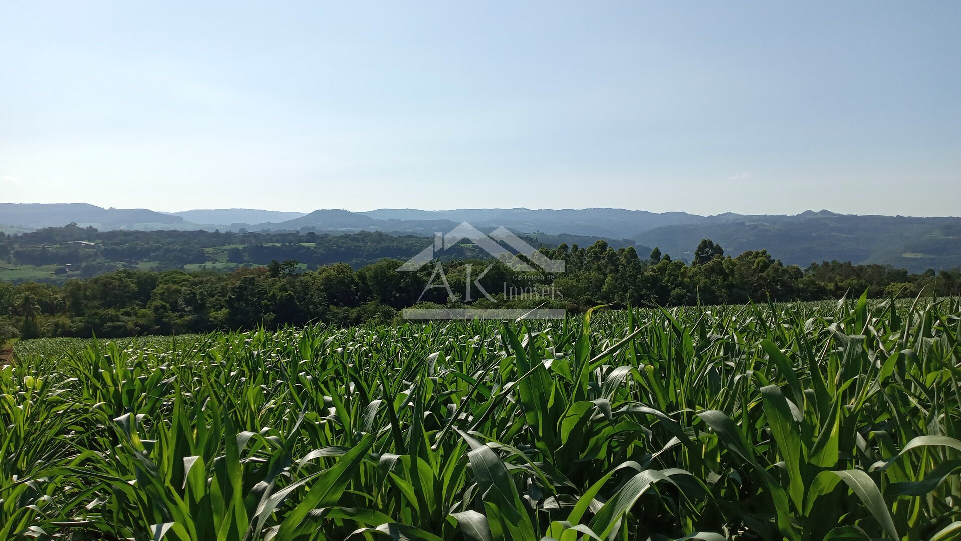 Área de terras em à venda no interior de Nova Petrópolis na Serra Gaúcha