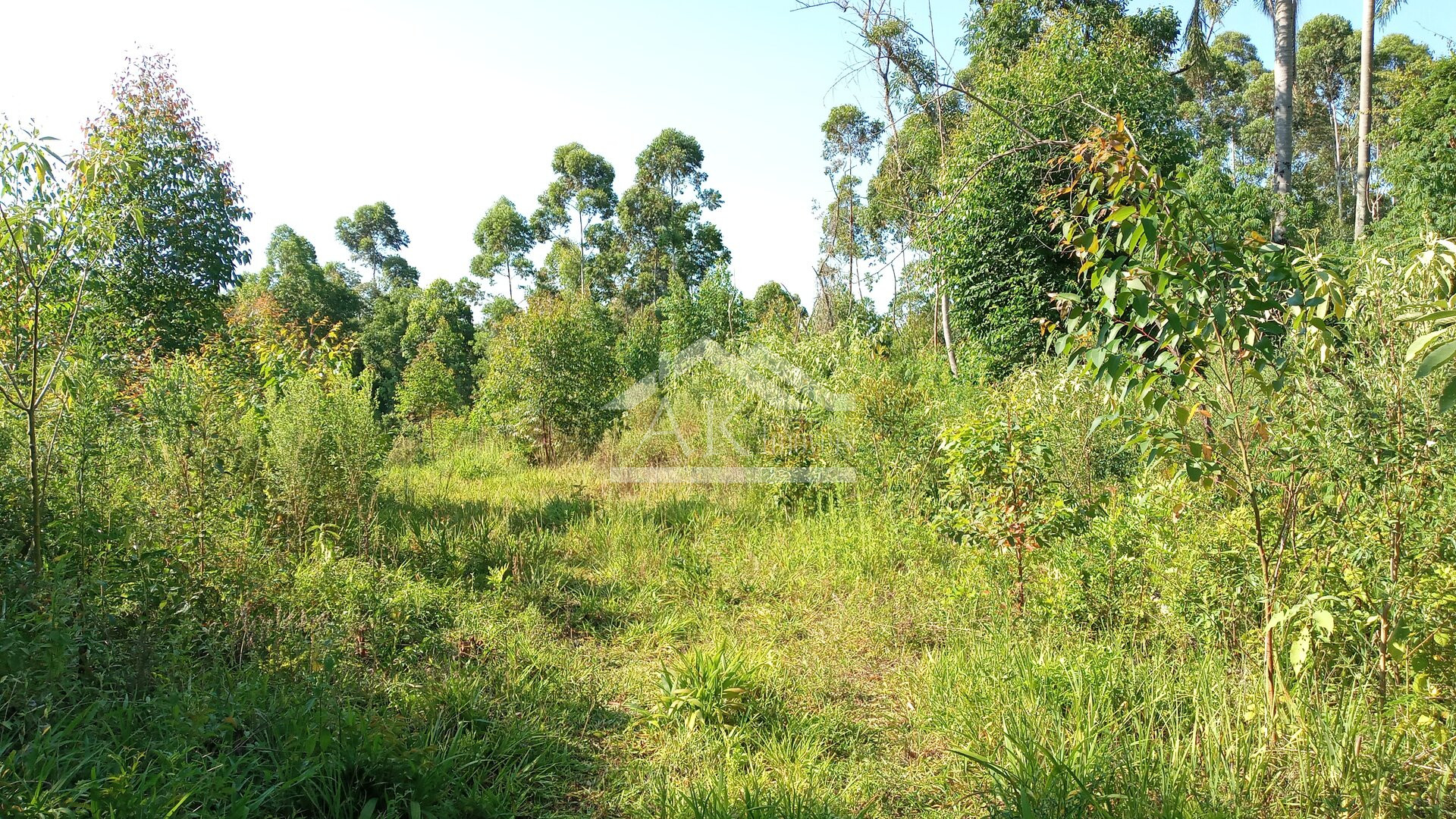 Área de terras em à venda no interior de Nova Petrópolis na Serra Gaúcha