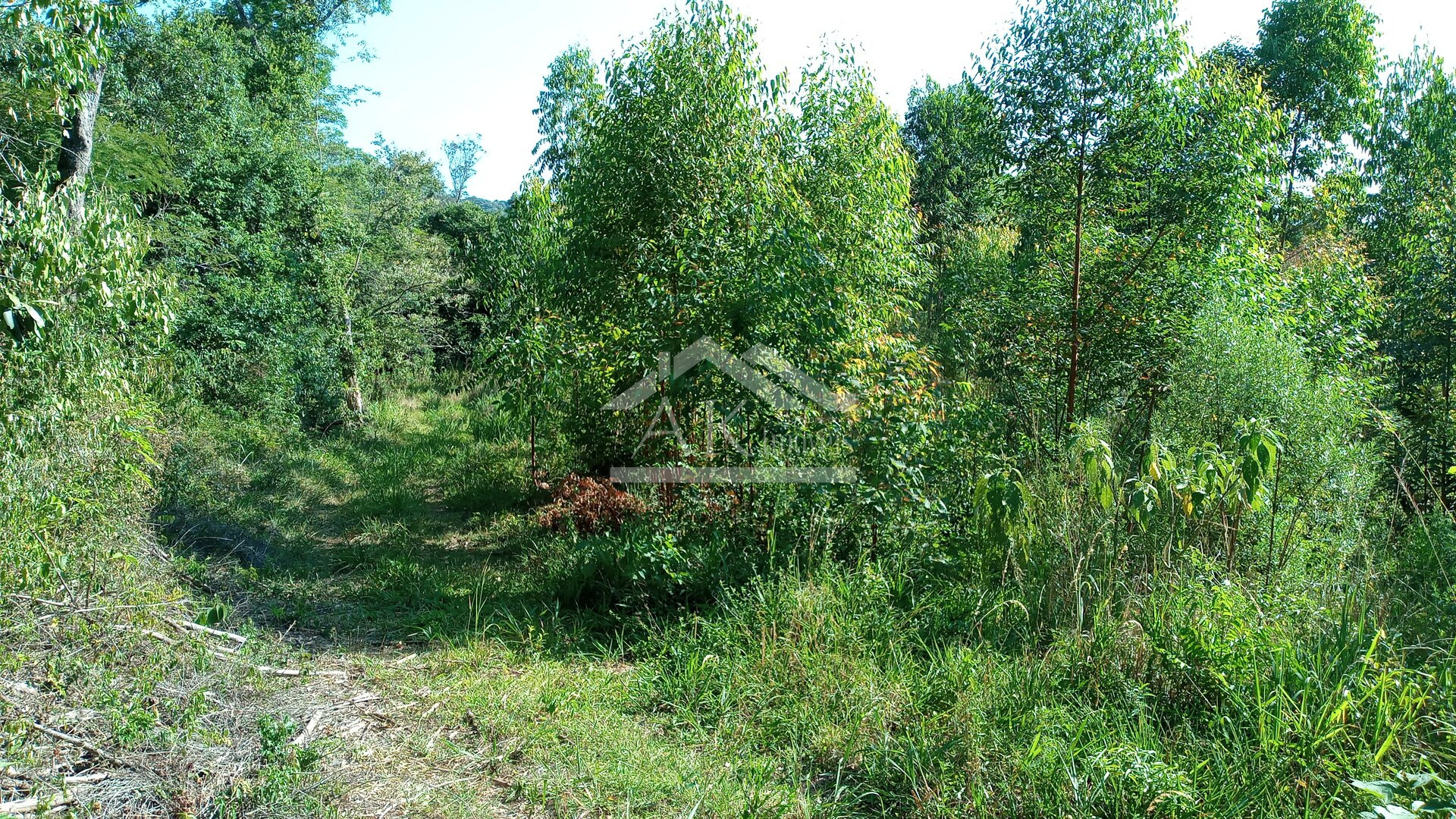 Área de terras em à venda no interior de Nova Petrópolis na Serra Gaúcha