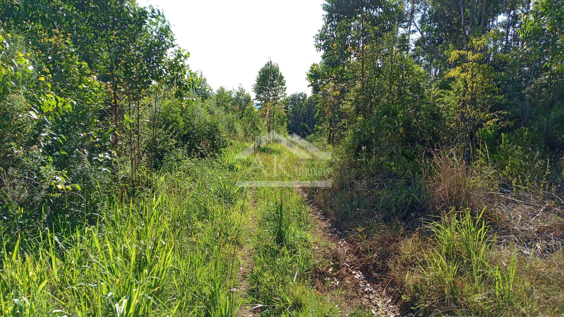 Área de terras em à venda no interior de Nova Petrópolis na Serra Gaúcha