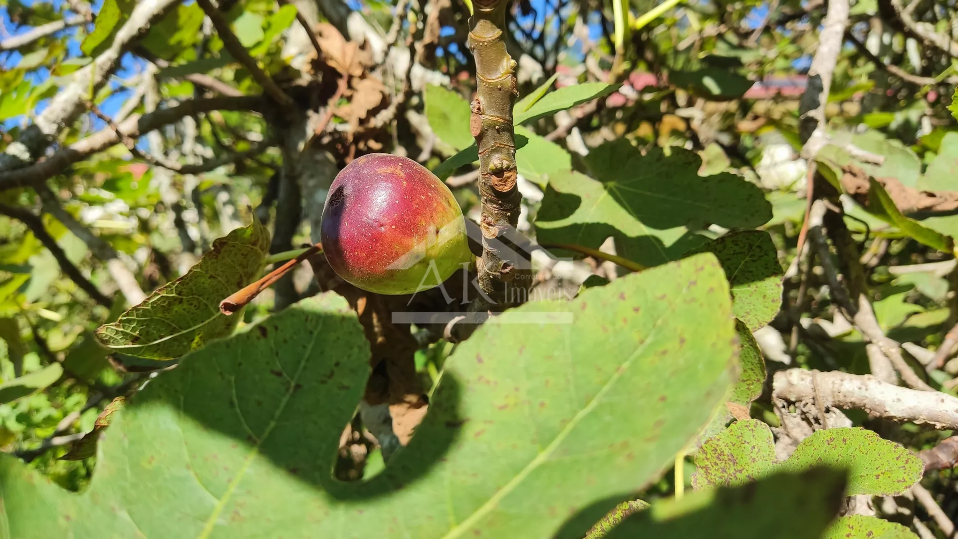 Terreno à venda em bairro residencial na cidade de Picada Café na Serra Gaúcha