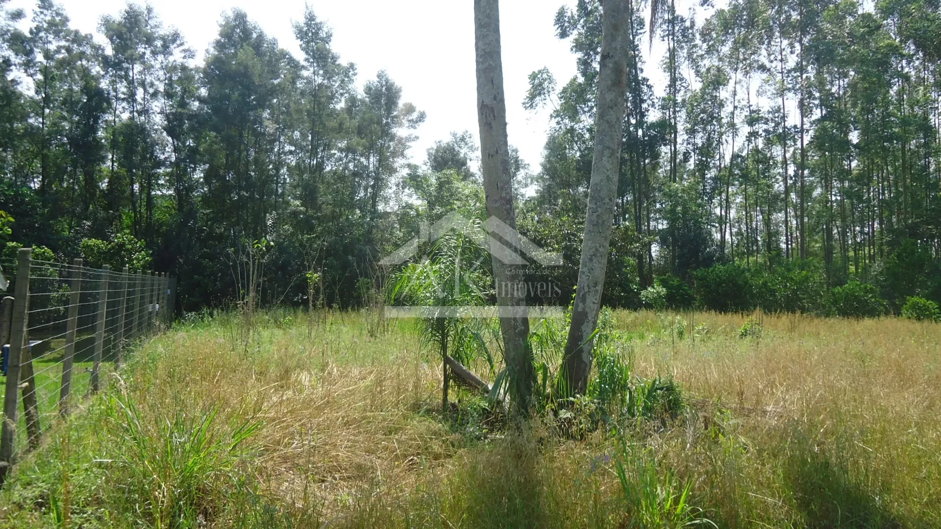 Terrenos planos à venda em Picada Café na Serra Gaúcha