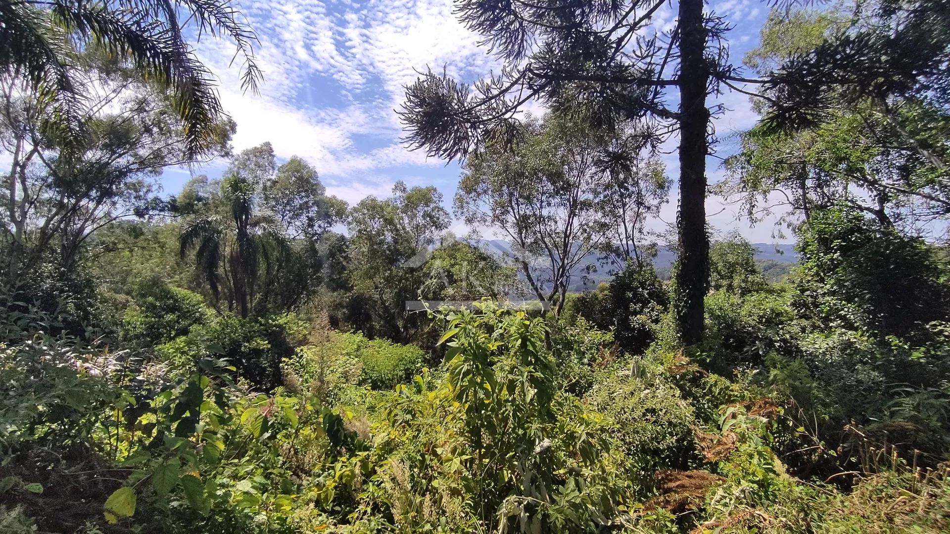 Terreno urbano à venda no bairro Pinhal Alto em Nova Petrópolis na Serra Gaúcha