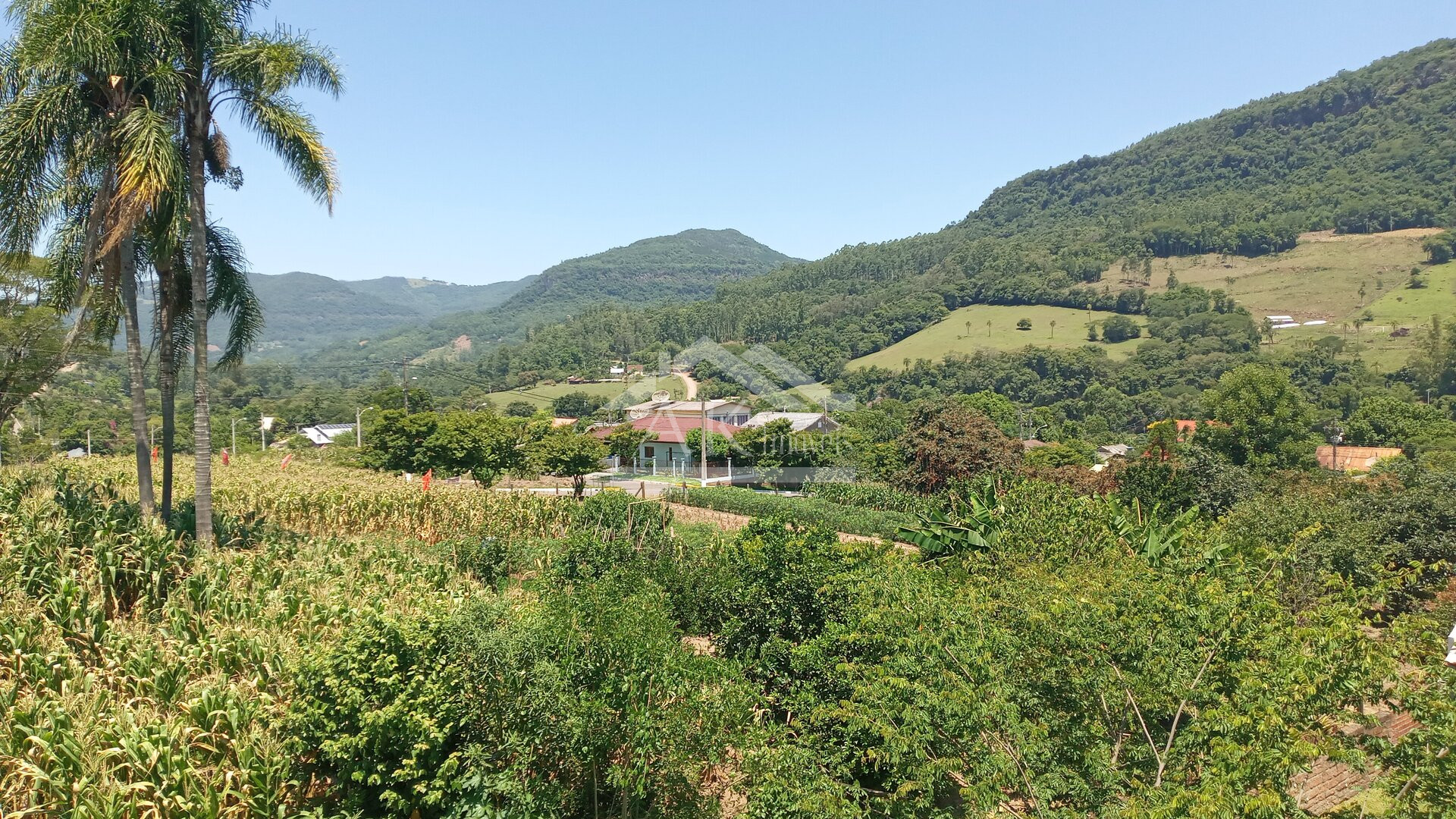 Amplo terreno com projeto comercial/residencial a venda em Picada Café na Serra Gaúcha