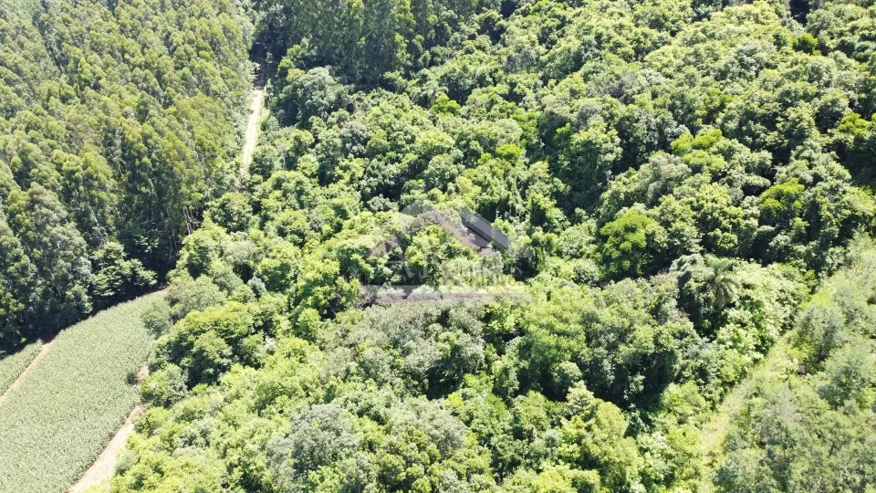 Imagens do imóveis Fazenda/Sítios/Chácaras  á venda  em Linha Olinda - Nova Petrópolis