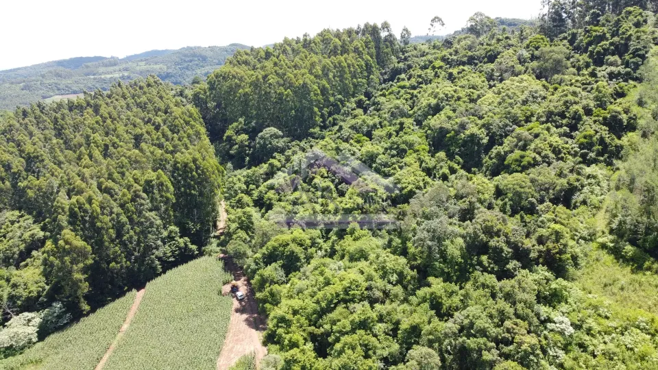 Imagens do imóveis Fazenda/Sítios/Chácaras  á venda  em Linha Olinda - Nova Petrópolis