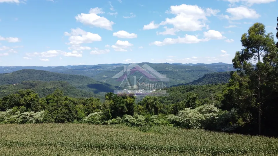 Imagens do imóveis Fazenda/Sítios/Chácaras  á venda  em Linha Olinda - Nova Petrópolis