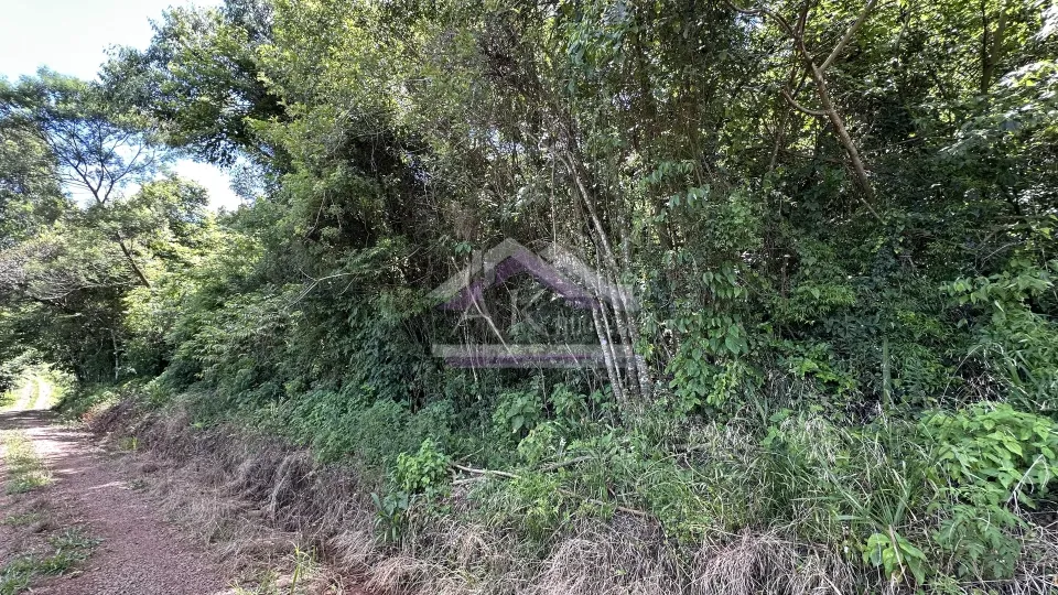 Imagens do imóveis Fazenda/Sítios/Chácaras  á venda  em Linha Olinda - Nova Petrópolis